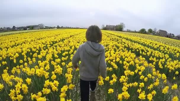 Kind wandelen door veld — Stockvideo