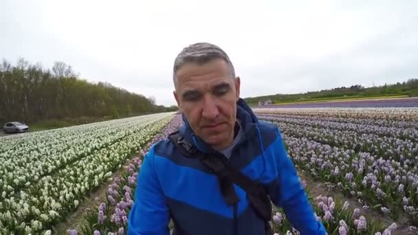 Man lopen door de Nederlandse hyacinten veld — Stockvideo