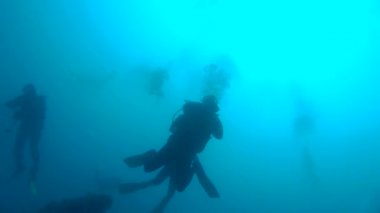 Dalgıçların bir emanet gerçekleştirmek durdurmak