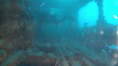  Scuba dalış bir gemi enkazı içinde