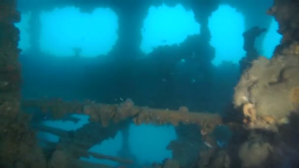 Naufragio Buceo en el Mar Adriático — Vídeo de stock