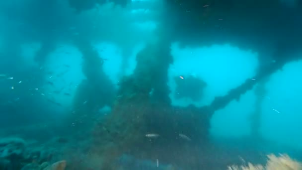 Mergulhadores dentro do naufrágio do navio — Vídeo de Stock