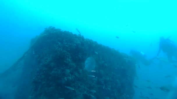 Scuba Divers Exploring World War I Shipwreck — Stock Video