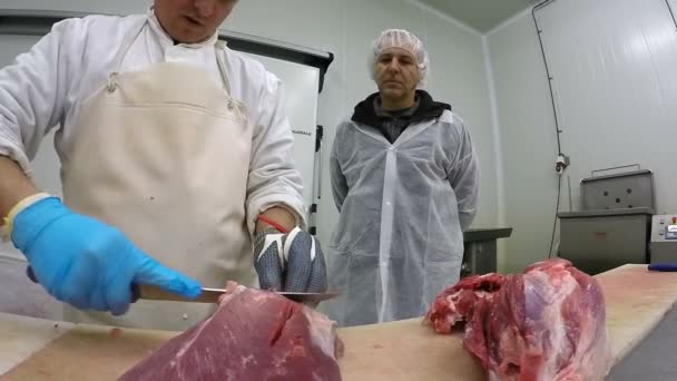 Butcher preparing meat — Stock Video