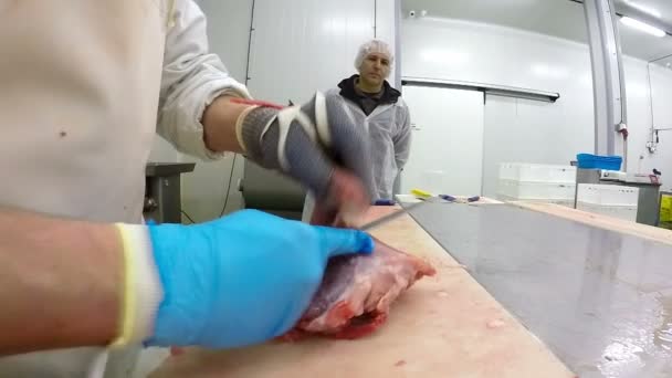 Mani di macellaio taglio fette di carne fresca - Movimento lento — Video Stock