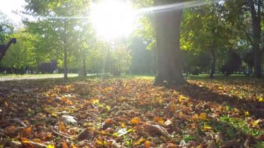 Adam rahatlatıcı sonbahar Park