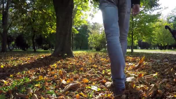 Adam rahatlatıcı sonbahar Park - ağır çekim — Stok video
