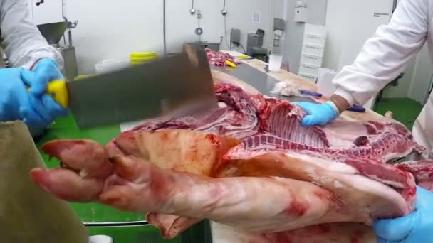 Group Of Butchers At Work — Stock Video