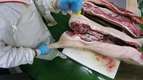 Slaktaren styckning gris i Slaugherhouse - Slow Motion — Stockvideo