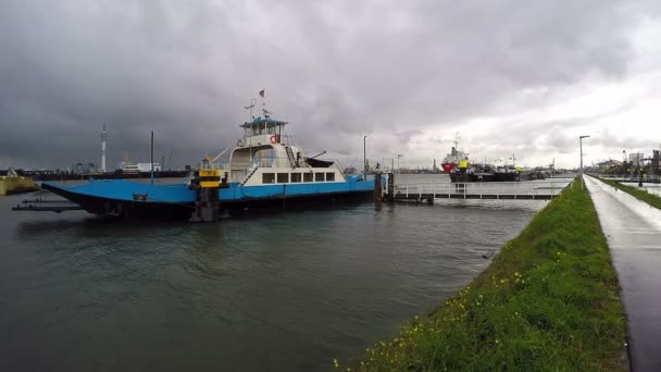 Port w Rotterdamie — Wideo stockowe