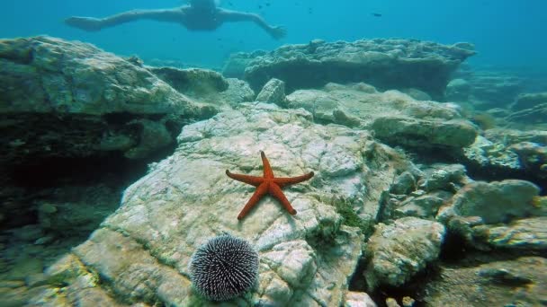 Mergulhador explorando o fundo do oceano — Vídeo de Stock