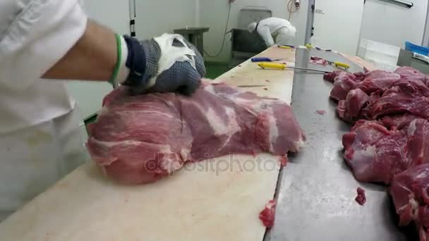 Mãos de açougueiro cortando fatias de carne fresca — Vídeo de Stock