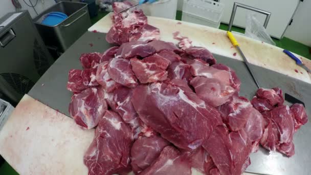 Slaktaren styckning av kött i kött bearbetningsanläggning — Stockvideo
