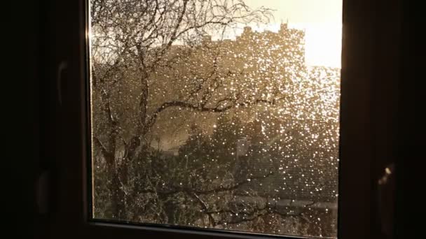 Дождь в городе в солнечный день — стоковое видео