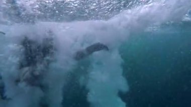 Scuba Diver okyanus içine atlama