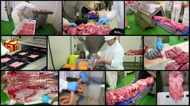 Kött bearbetningsanläggningen - Multi skärm — Stockvideo