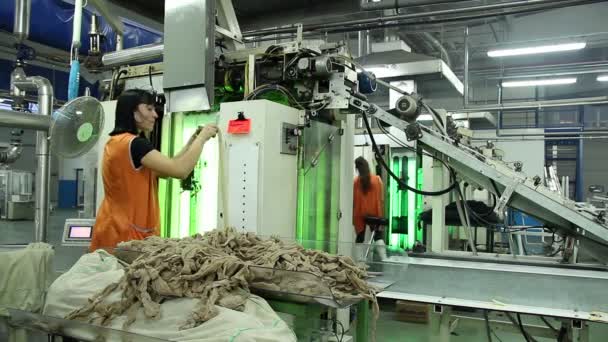 Duas trabalhadoras na linha de fabricação de meia-calça — Vídeo de Stock