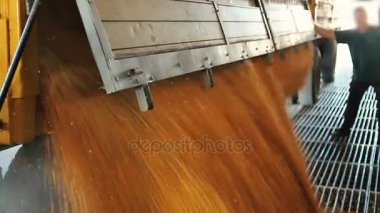İki çiftçiler hububat boşaltma
