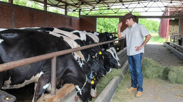 Fazendeiro de gado usando chapéu de vaqueiro — Fotografia de Stock