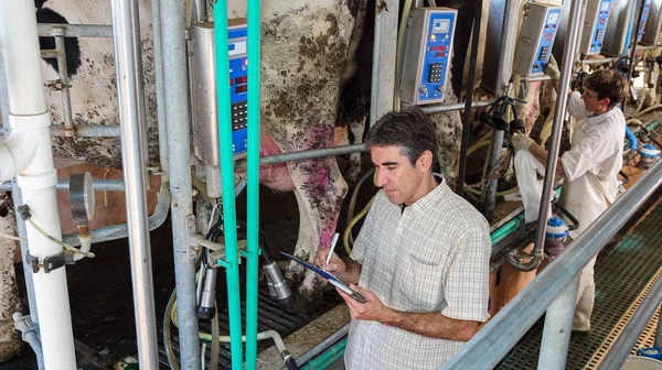 Hombre escribiendo en portapapeles en la sala de ordeño — Foto de Stock