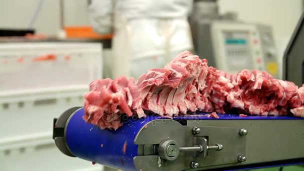 Свежая Сырая Свиная Отбивная Мясокомбинате Порезы Сырого Мяса Промышленном Конвейере — стоковое видео
