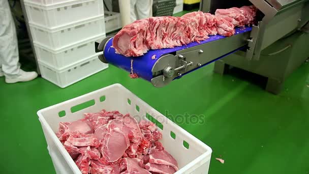 Chuletas Cerdo Frescas Máquina Corte Carne Cortes Carne Cruda Una — Vídeo de stock