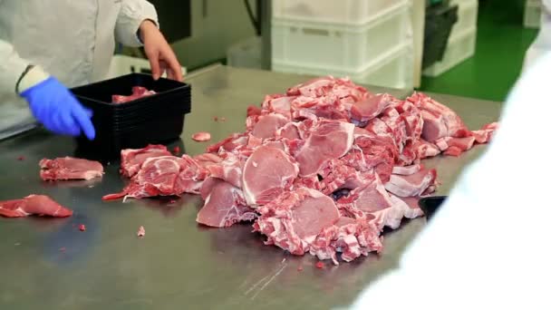 Verpackung Von Frischem Fleisch Verpackung Von Rohem Fleisch Fließband Frische — Stockvideo