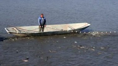 Çekerek balıkçı Balık ağı. Tatlı su balığı tarım. Carps sebebi--dan hasat.