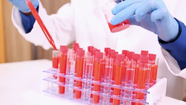Laboratório Técnico Enchimento Tubos Teste Verter Líquido Vermelho Com Pipeta — Vídeo de Stock