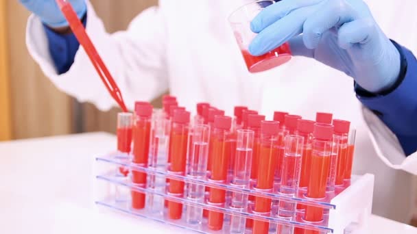 Técnico Laboratorio Llenando Tubos Prueba Verter Líquido Rojo Con Pipeta — Vídeo de stock