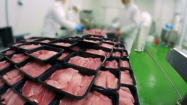 Embalagem Fatias Carne Caixas Costeletas Porco Cruas Frescas Fábrica Carne — Vídeo de Stock