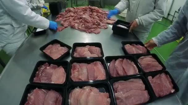 Trabalhadores Fábrica Embalando Carne Fresca Uma Fábrica Carne Processamento Carne — Vídeo de Stock