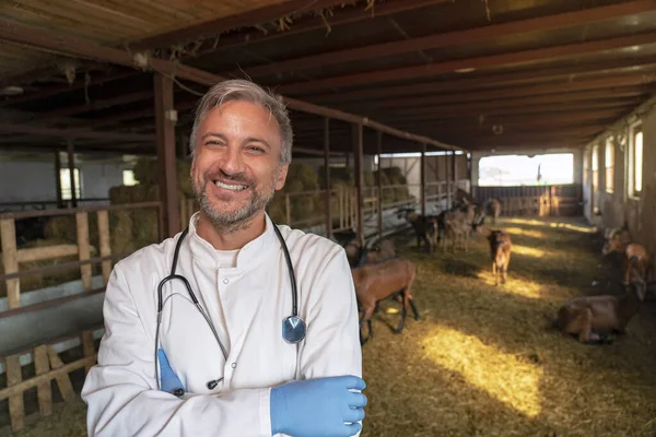 Veterinario maduro sonriente con estetoscopio en granja de cabras — Foto de Stock