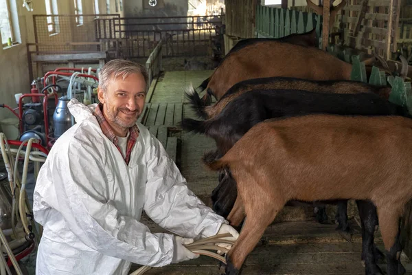 Fazendeiro sorridente ordenha cabras na fazenda de leite de cabra — Fotografia de Stock