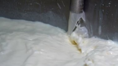 Hamur Sütü Yavaş Çekimde Pastörizasyon Tankına dökülüyor. Süt İşleme Tesisinde Süt Pastörizasyonu. Süt, Süt Fabrikası 'ndaki Pastörizasyon Tankının içinde. Mandıra Gıda Güvenliği.