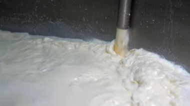 Pastörizasyon tankına ham süt dökülüyor. Süt bitkisi gıda güvenliği. Süt İşleme Tesisinde Süt Pastörizasyonu. Süt, Süt Fabrikasındaki Pastörizasyon Tankının içinde.