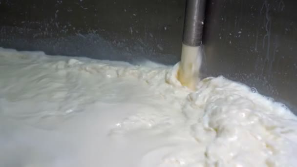 Сырое Молоко Вливается Резервуар Пастеризации Безопасность Пищевых Продуктов Молочном Заводе — стоковое видео