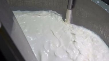 Çiğ süt Pastörizasyon Tankına dökülüyor. Süt İşleme Tesisinde Süt Pastörizasyonu. Süt, Süt Fabrikası 'ndaki Pastörizasyon Tankının içinde. Mandıra Gıda Güvenliği.