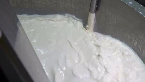 Leite Cru Derramando Tanque Pasteurização Pasteurização Leite Fábrica Processamento Laticínios — Vídeo de Stock