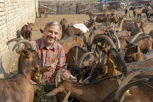 Щасливий фермер з козами. — стокове фото