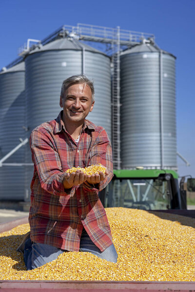 Corn Farmer Showing Freshly Harvested Corn Maize Grains Against Grain Silo  