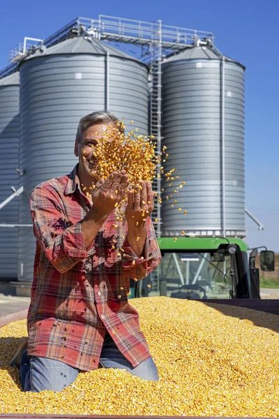 Šťastný farmář házet čerstvě sklizené kukuřice kukuřice zrna proti obilí Silo — Stock fotografie