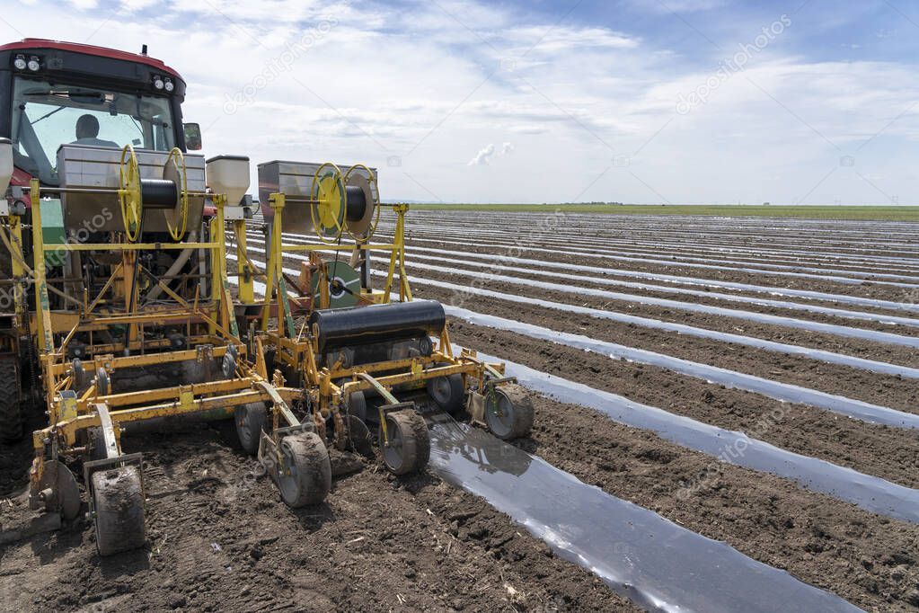 Tractor in a Field - Farmer Installing Drip Tape Irrigation Under Plastic Mulch on a Vegetable Bed. Tractor with agricultural equipment in the same pass dispenses fertilizer, lays down irrigation lines and rolls out a continuous of mulch plastic. 