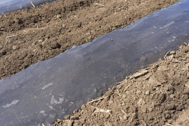 Biyolojik çözünebilir plastik gübre filmleriyle kaplı sebze yatakları. Plastik Malç Altında Drip Bant Sulama Sebze Yatağına Kuruluyor. Tarımsal plastik gübre otların büyümesini önlemek ve topraktan su kaybını azaltmak için kullanılır.. 