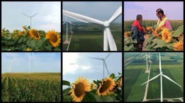 Yeşil Alandaki Rüzgar Türbini Çiftliği - Yeşil Enerji Kavramsal Çoklu Ekran Videosu. Şiddetli rüzgarlarda dönen dev rüzgar türbininin hava görüntüsü. Kırsal kesimde Rüzgar Türbinleri Elektrik Oluşturuyor.