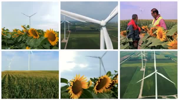 グリーンフィールドの風力タービンファーム 再生可能エネルギーマルチスクリーンビデオモンタージュ 強風で回転する巨大な風力タービンの空中ビュー 田舎で風力発電機を作る — ストック動画