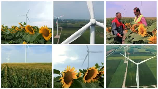 Granja Turbinas Eólicas Campo Verde Montaje Video Pantalla Múltiple Energía — Vídeos de Stock