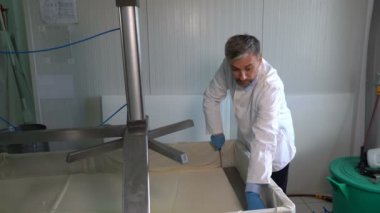 Bıçaklı İşçi Peynir Üretim Hattı 'nda Peynir Kesiyor. Mandıra Fabrikasında Peynir Üretimi. Cheese Factory çalışanı yerel fabrikada taze peynirle ilgileniyor..