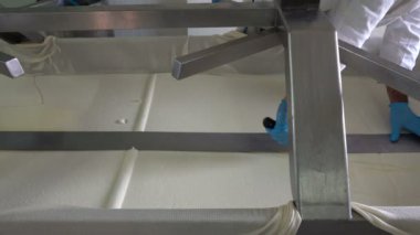Bıçaklı İşçiler Peynir Üretim Hattı 'nda Peynir Kesiyor. Mandıra Fabrikasında Peynir Üretimi. Cheese Factory çalışanı yerel fabrikada taze peynirle ilgileniyor..