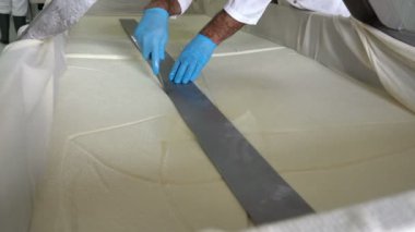 Bıçaklı Adam Peynir Üretim Hattı 'nda Peynir Kesiyor. Mandıra Fabrikasında Peynir Üretimi. Cheese Factory çalışanı yerel fabrikada taze peynirle ilgileniyor..